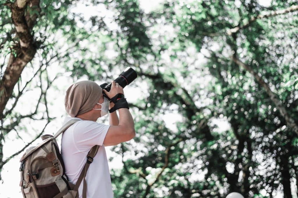 photographier des oiseaux